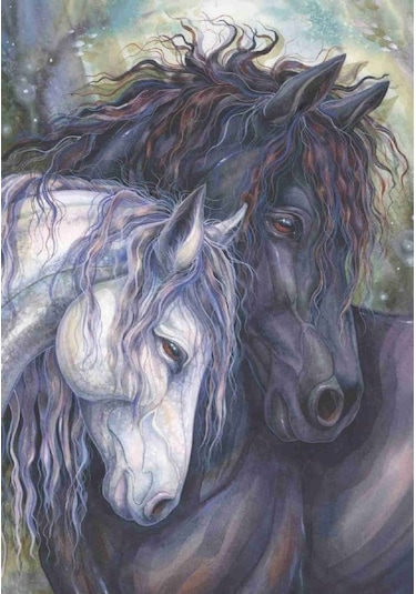 Anatolian 500 Parça Ruh İkizi Puzzle