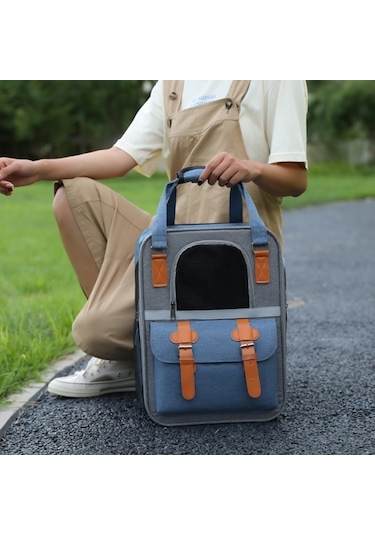 Cbtx Açık Taşınabilir Omuz Evcil Hayvan Sırt Çantası El Katlanabilir Nefes Alabilir Kedi Çantası Stil 6 Turuncu