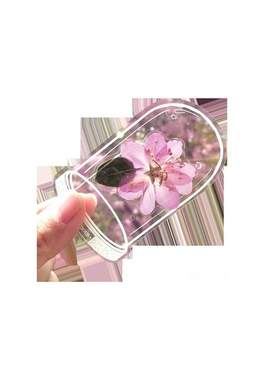 Dianziye Öğrenci Ve Çocuklar İçin El Yapımı Bitki Örnekleri Yapım Seti - Şeffaf Malzeme, Paslanmaz Çelik Pinçer Ve Sütlü Boyalar