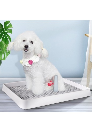 Açık Tip Evcil Köpek Tuvalet Lazımlık Pet Malzemeleri 9nnu29