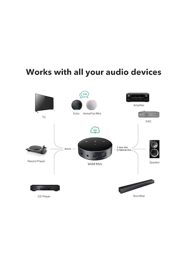 Wiim Mini Airplay2 Kablosuz Ses Aktarıcı