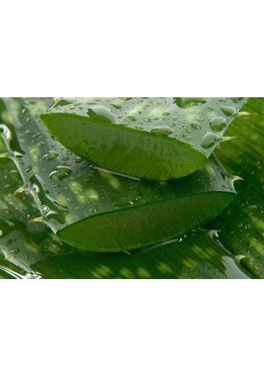 Mengü Şifa Doğal Aloe Vera + Kantaron Kremi 50 ML