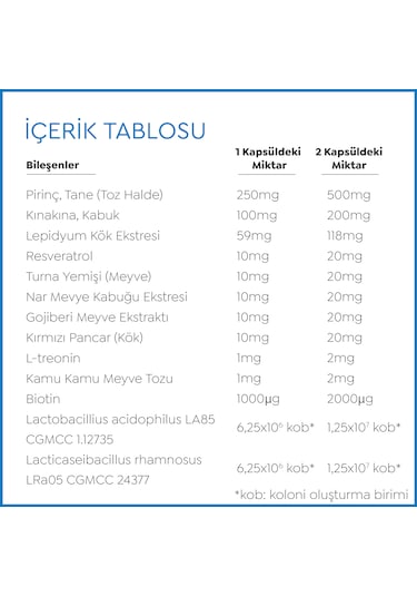 Probiome-fort Takviye Edici Gıda 60 Kapsül