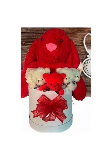 Özel Kutuda, Aşk Temalı Peluş Hediye Kutusu Kırmızı Jellycat Tavşan & 5 Mini Ayıcık Özel Tasarım