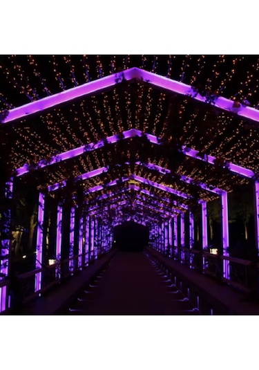 120 Ledli Mor Işık Şerit Led 5 Metre 60 Watt Mor 12 Volt