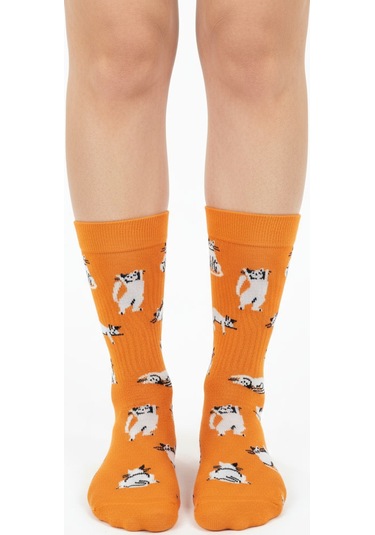 Gost Liria Silver Cat Socks Desenli Unisex Soket Çorap Turuncu