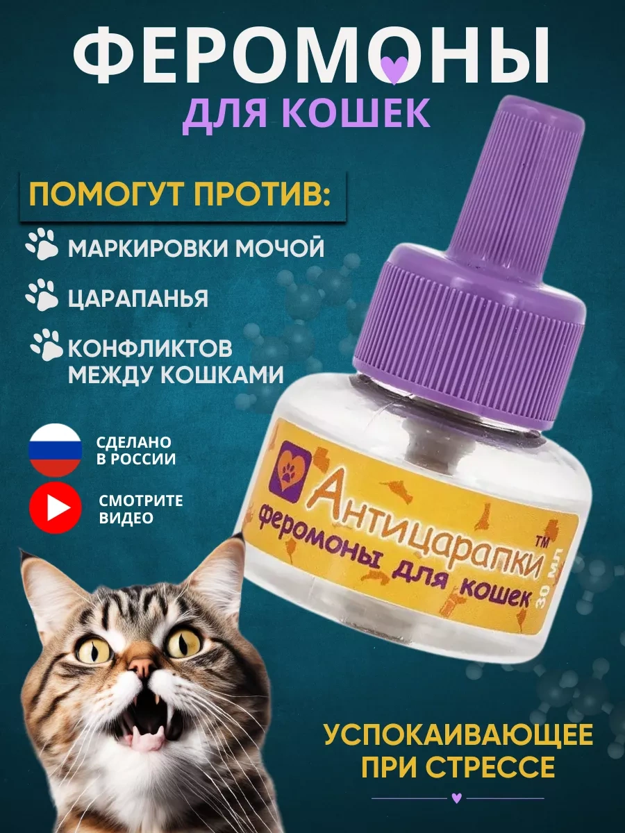 Anticarapki Kedilerin Stresle Başa Çıkması İçin Feromonlu Şifalı Takviye 8187854