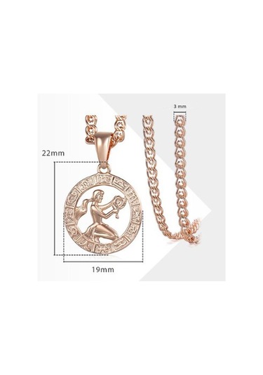 Saatcaddesi Pigado Astroloji Burçlar Kolye Rose Renk Özel Kutusunda Metal