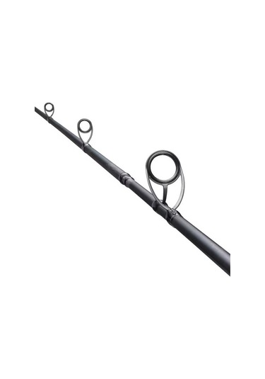 Rod Salty Advance Spinning Seabass2,90m 9'6''6-32g