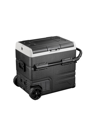 Icepeak Walmer Kompresörlü Buzdolabı 60 Litre-siyah