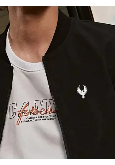 Olfil Özgürlük Efektiyle Minyatür Feniks Kuşu Uçuş Broş 372749477 Gri