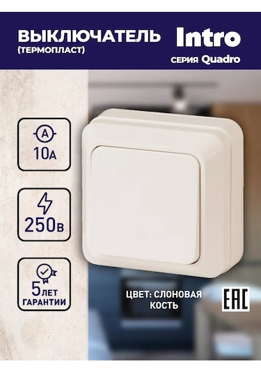 Intro Quadro 250v Tekli Düğmeli Anahtar 261824260