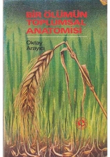 Bir Ölümün Toplumsal Anatomisi - Oktay Arayıcı