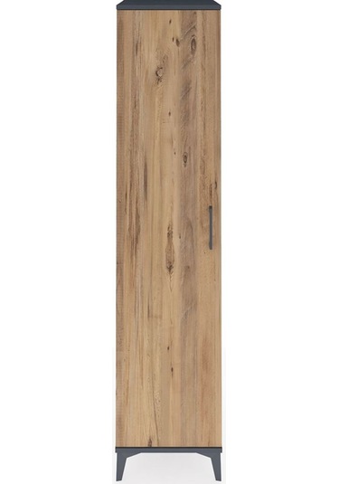 Hyperion Dolap 3 Raflı Tek Kapaklı Tek Askılı 44x44x195 Antra... Antrasit