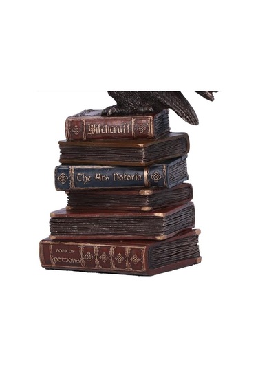 Baykuş Hedwig - Harry Potter Biblo Veronese Design