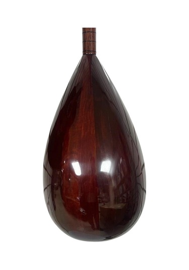 Piarro Uzun Sap Ardıç Ağacı Profesyonel Bağlama Çanta Hediye