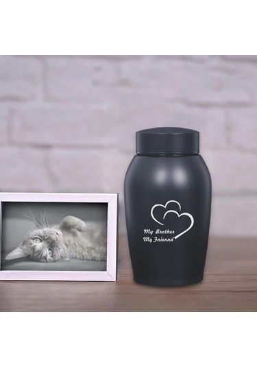 Homyl Pet Urn Saklama Kabı Tavşan Köpekler Kediler Stil-a Altın