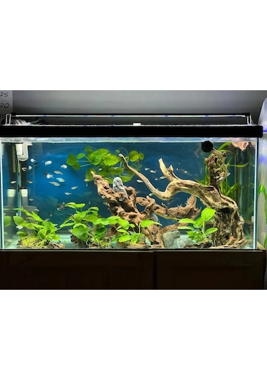 Shark Akvaryum Aydinlatma 4 Sira Osram Marka Ledli 566770147