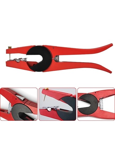 Carrier- Moda Trendleri Koyun Ve Sığır Kulak Küpesi Takma 1 Adet