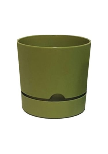 Polıwork Saksı Begonya 21 Cm Yosun Yeşili