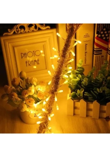 5m 30 Led Pilli 2 Kademeli Peri Led Gün Işığı