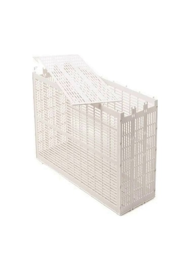 Ana Arı Hapsetme 3 Çerçeveli