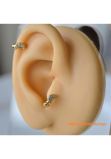 Heppii Gold Renk Cerrahi Çelik Ay Modelli Halka Tragus Piercing Helix Lo Altın