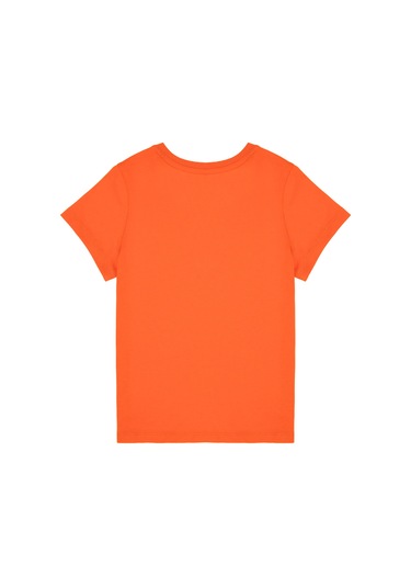 U.s. Polo Assn. Erkek Çocuk Nar Çiçeği Tişört Basic 50306502-vr039 Nar Cıcegı Nar Çiceği