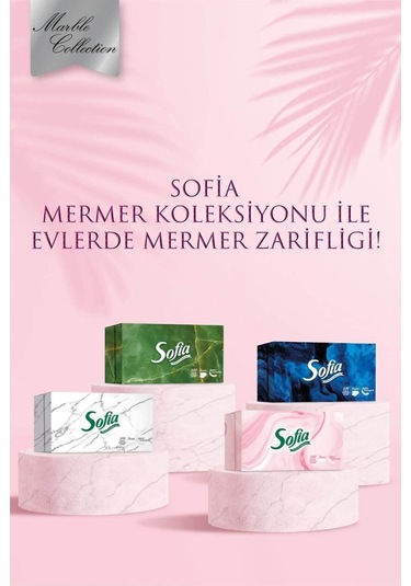 Sofia Kutu Mendil 4x100'lü