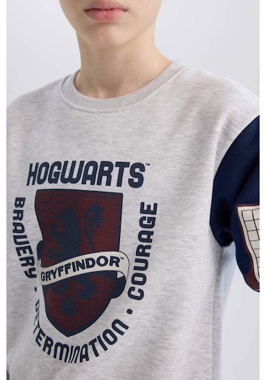 Defacto Erkek Çocuk Harry Potter Regular Fit Bisiklet Yaka Sweatshirt D4258a8nsgr400 Gri