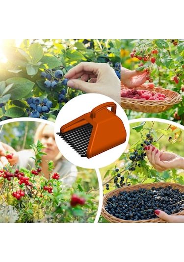 Blue Berry , Aronya , Kuşburnu Ve Meyve Toplama Tarağı Plastik B Alıç Toplama