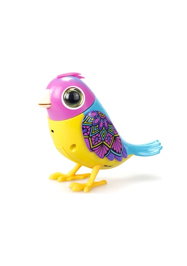 Digibirds Tekli Paket Seri 2 - Model 1