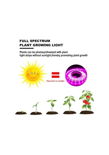 Pazly Yetiştirme Usb Tohumları Geniş Spektrumlu Şerit Sera Phyto Led Lamba İç Dc Çiçek Çadırı Bitki 5v 3m 2m 1m Qc 5m Waterproof