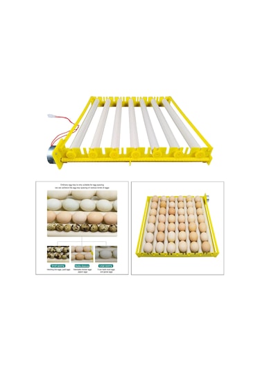 Suntek Yumurta Kuluçka Makinesi Tepsisi Otomatik Yumurta