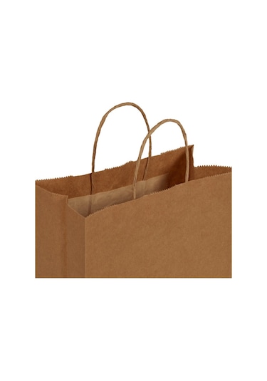 Packanya 20 x 10 x 22 - 100 Adet Burgu Saplı Kraft Çanta