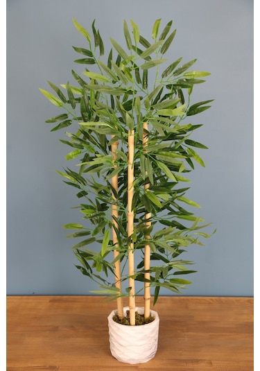 Bambu Ağacı 110 Cm 3 Gövdeli