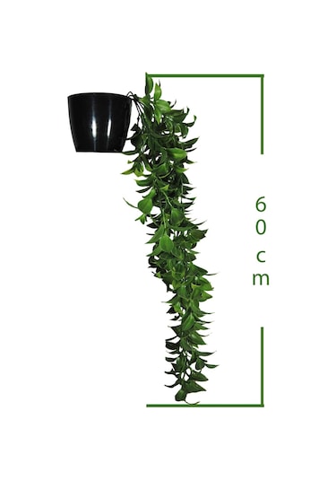 Yapay Çiçek Siyah Saksılı Sarkan Bitki FEJKA Yeşil