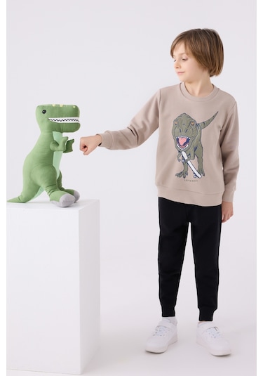 Rolypoly Erkek Çocuk Eşofman Takımı Rp3430 Kum Kum