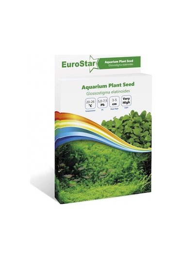 Eurostar Bitki Tohumu Glossostigma Elatinoides