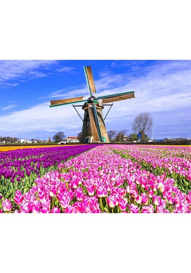 Hı Stone 5d Elmas Boncuk Taş Işleme Mozaik Goblen Kit 30x40cm Yeldeğirmeni