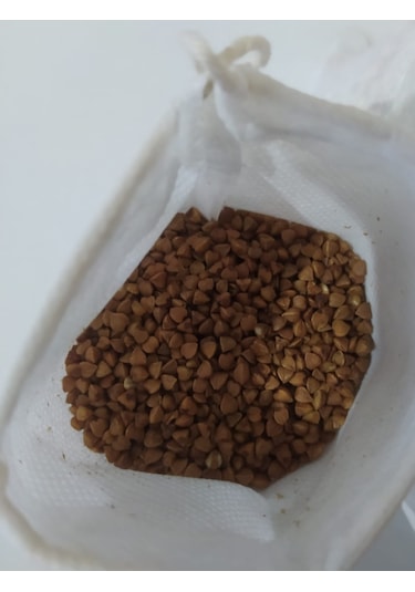 Kavrulmuş Karabuğday (Greçka) 10 KG