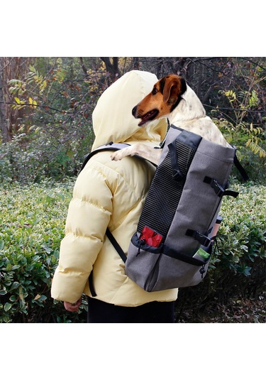 Homyl Kedi Ve Küçük Köpek Seyahat Kamp Yürüyüş Için