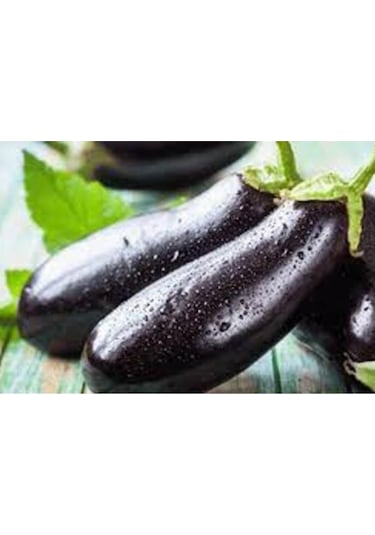 Eko Paket Diyarbakır Pin Kemer Patlıcan Tohumu Kemer Patlıcan Tohumu 100 Adet Tohum