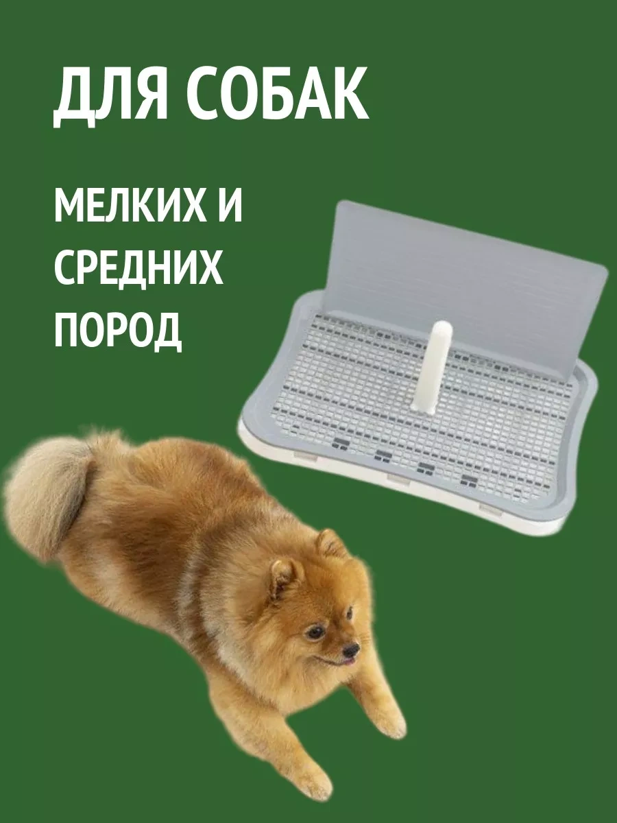 Tcallini Pets Köpekler İçin Kenarlı Ve Sütunlu Ped Haznesi 182885540