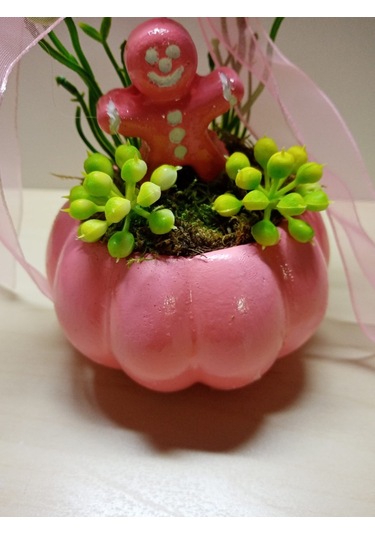 Neolife Yeni Doğan Kız Bebek Hediyesi Aramıza Hoş Geldin Hediyesi Sevimli Tavşancık Detaylı Kabak Teraryum