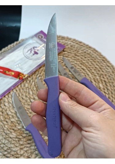 Sürdövbisa 61010 6'lı Meyve Seti Sivri Uç Mor