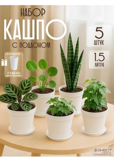 Onest Tabaklı Saksılar 1,5 L 5'li S 400601687