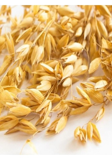 Kappadokia Yulaf Ezmesi Özel 12'li Koli 12 X 500gr