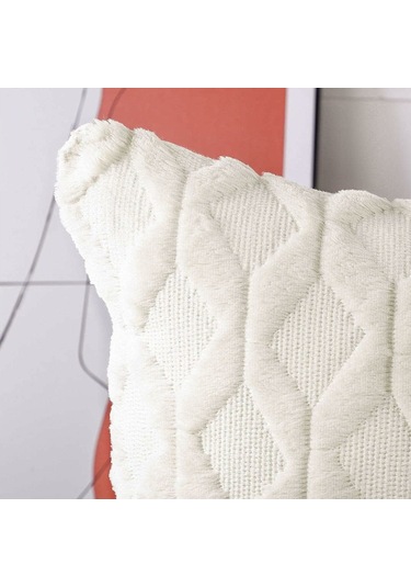 Aubyhe 2 Adet Yumuşak Kürk Ve Kadife Yastık Kılıfı, 18x18 İnç, Kayıp Rengi, Gizli Reçme, Yıkama Kolay, Yumuşak Dokuma Sadece Kılıflar Çok Renkli