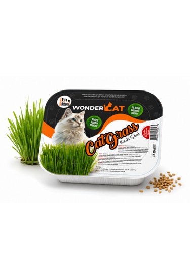 Wondercat Topraklı Koruyucu File Hediyeli Kedi Çimi